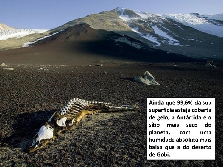 Ainda que 99, 6% da superfície esteja coberta de gelo, a Antártida é o