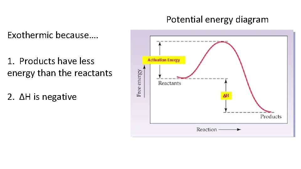 Potential energy diagram Exothermic because…. 1. Products have less energy than the reactants 2.