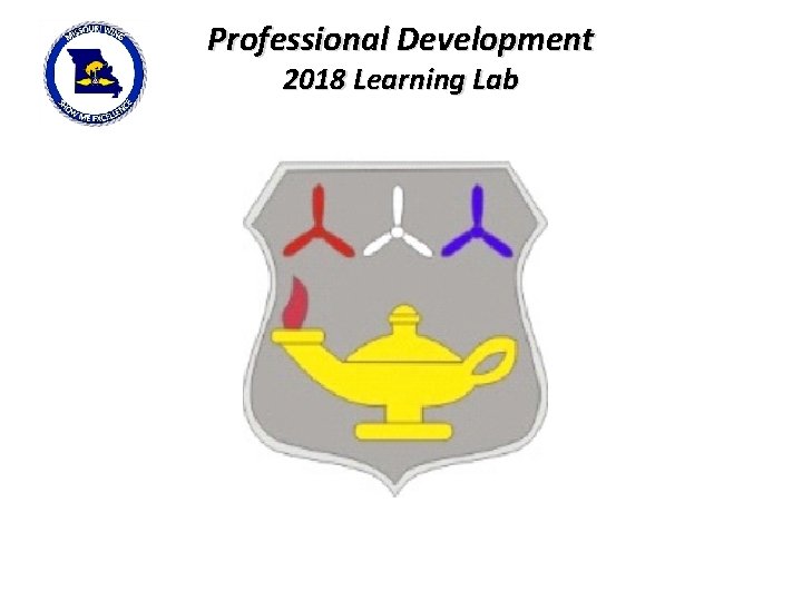 Professional Development 2018 Learning Lab 