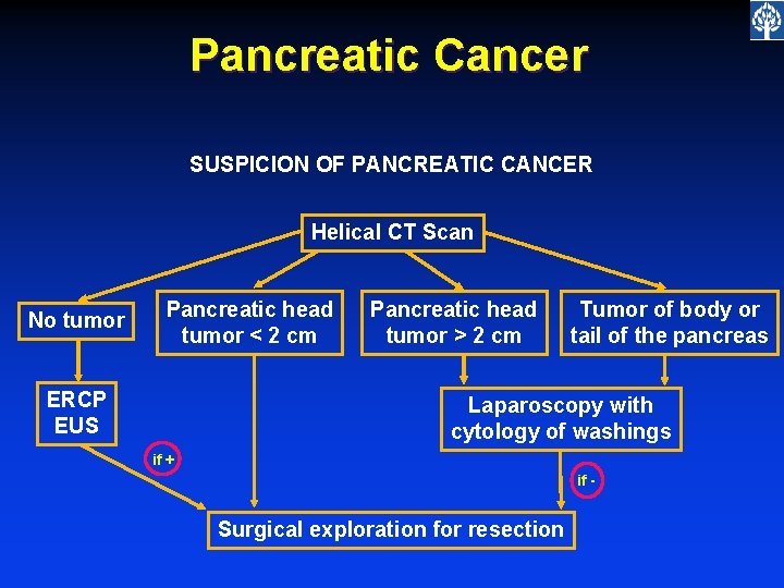 Pancreatic Cancer SUSPICION OF PANCREATIC CANCER Helical CT Scan No tumor Pancreatic head tumor