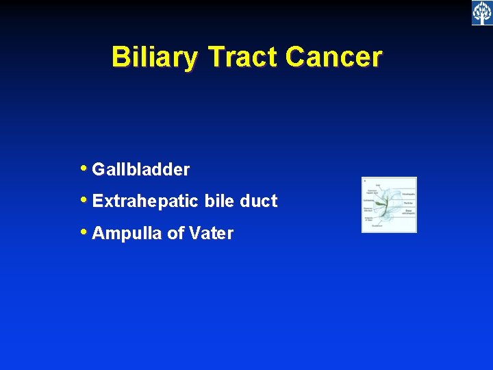 Biliary Tract Cancer • Gallbladder • Extrahepatic bile duct • Ampulla of Vater 