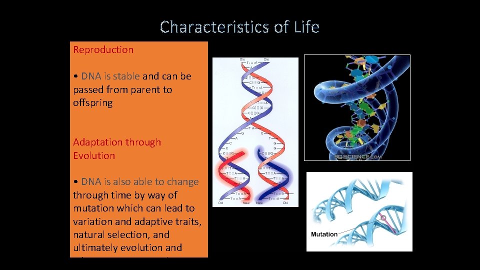 Characteristics of Life Reproduction • DNA is stable and can be passed from parent