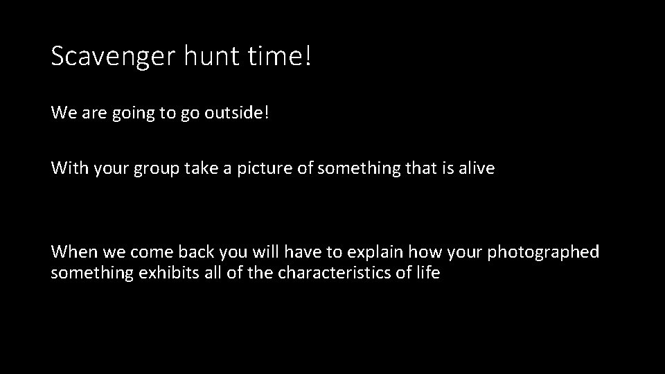 Scavenger hunt time! We are going to go outside! With your group take a