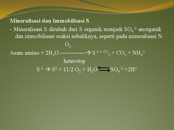 Mineralisasi dan Immobilisasi S - Mineralisasi S dirubah dari S organik menjadi SO 4 Mineralisasi dan Immobilisasi S - Mineralisasi S dirubah dari S organik menjadi SO 4