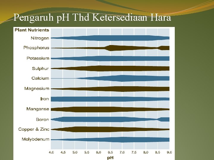 Pengaruh p. H Thd Ketersediaan Hara 