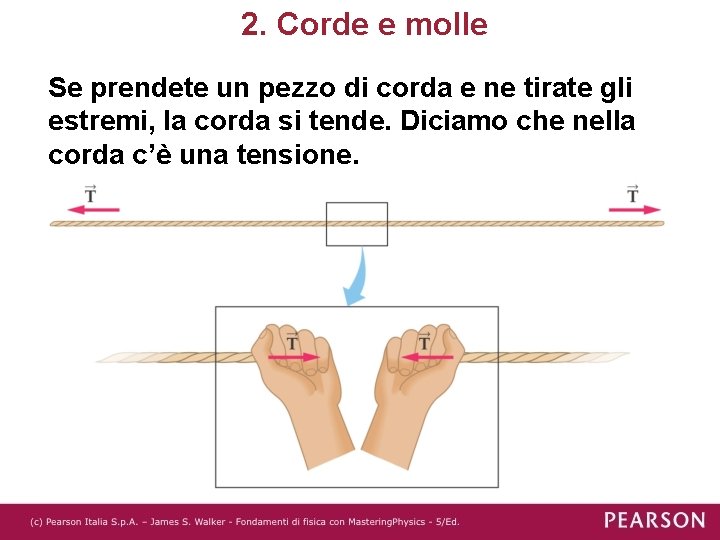 2. Corde e molle Se prendete un pezzo di corda e ne tirate gli