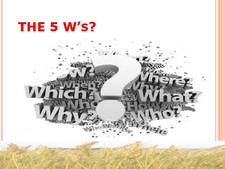 THE 5 W’S? 