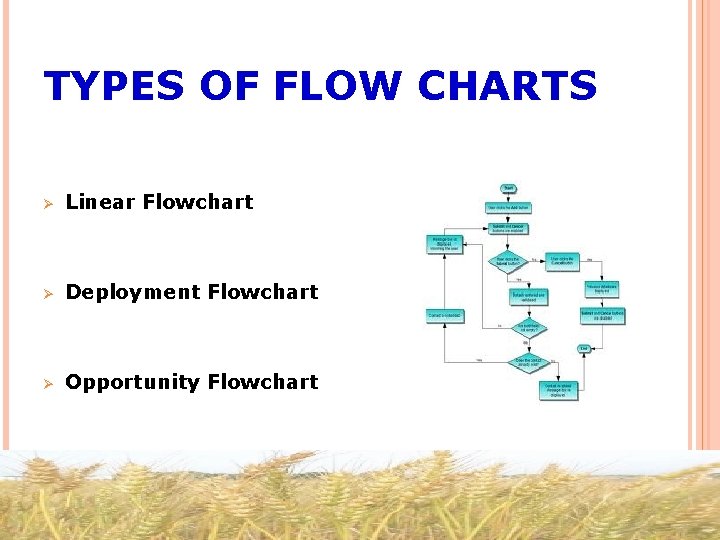 TYPES OF FLOW CHARTS Ø Linear Flowchart Ø Deployment Flowchart Ø Opportunity Flowchart 