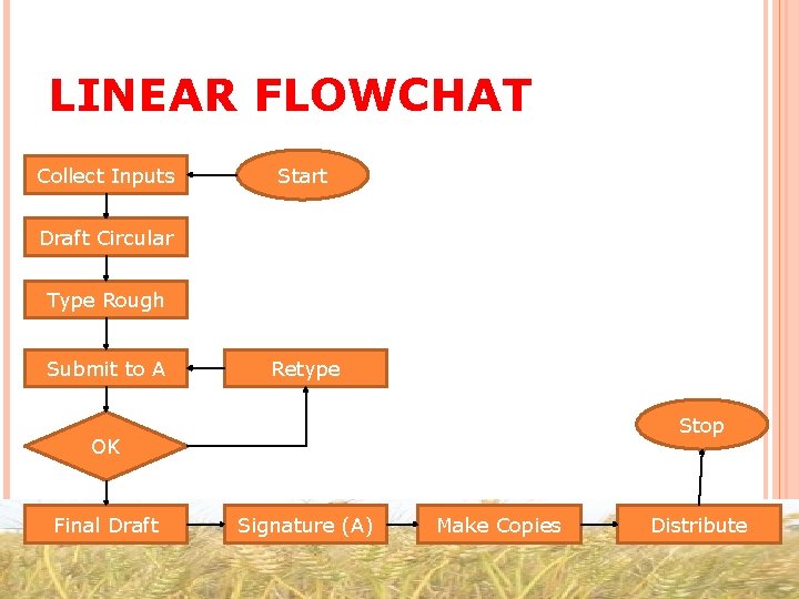 LINEAR FLOWCHAT Collect Inputs Start Draft Circular Type Rough Submit to A Retype Stop
