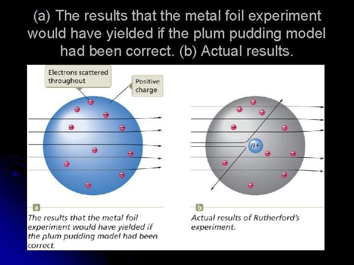 (a) The results that the metal foil experiment would have yielded if the plum