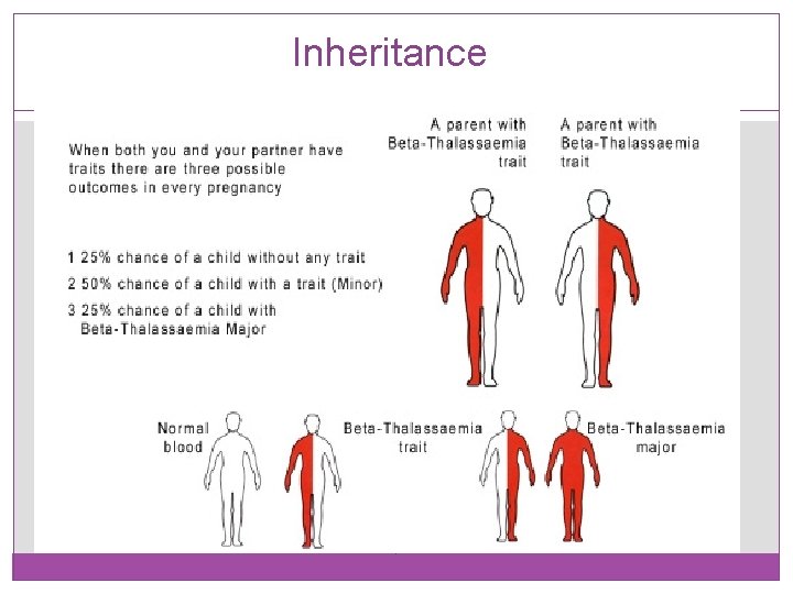 Inheritance 