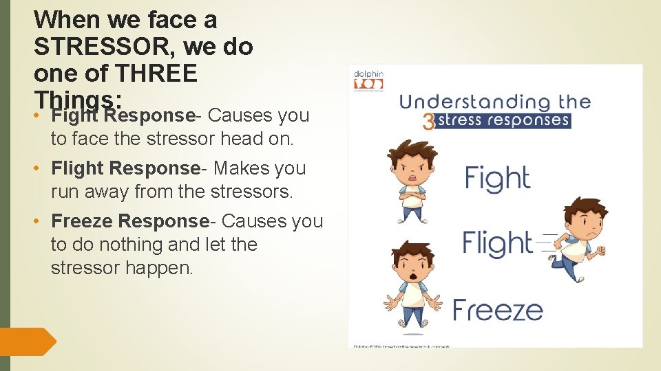 When we face a STRESSOR, we do one of THREE Things: • Fight Response-