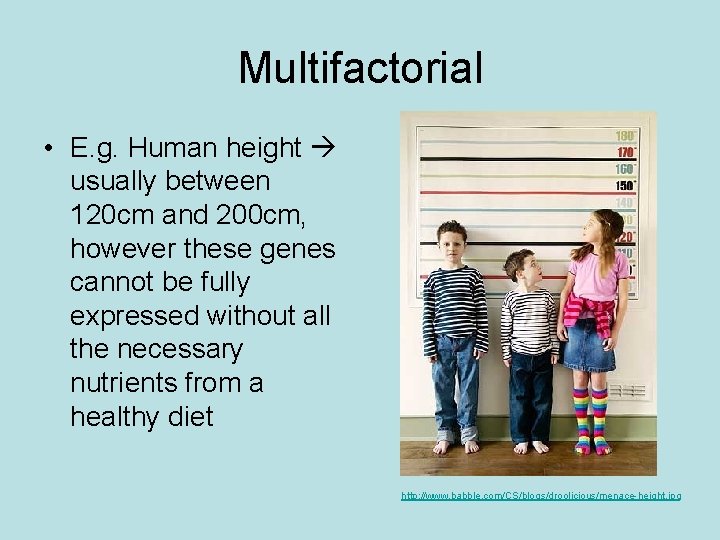 Multifactorial • E. g. Human height usually between 120 cm and 200 cm, however