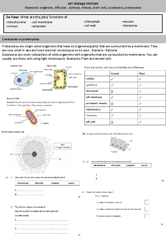 cell biology revision Keywords: organelle, diffusion , osmosis, mitosis, stem cells, eukaryotes, prokaryotes Do