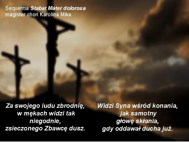 Sequentia Stabat Mater dolorosa magister chori Karolina Mika Za swojego ludu zbrodnię, w mękach