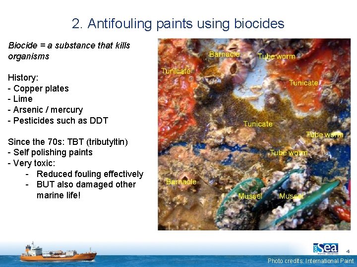 2. Antifouling paints using biocides Biocide = a substance that kills organisms History: -