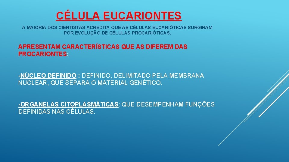  CÉLULA EUCARIONTES A MAIORIA DOS CIENTISTAS ACREDITA QUE AS CÉLULAS EUCARIÓTICAS SURGIRAM POR