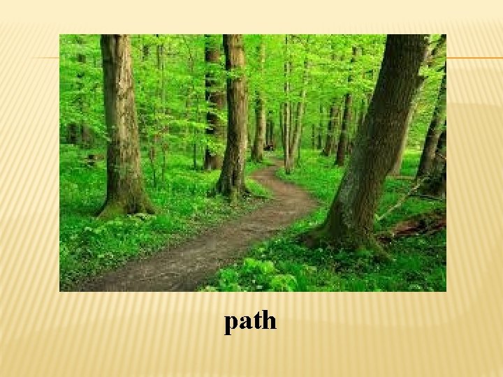 path 