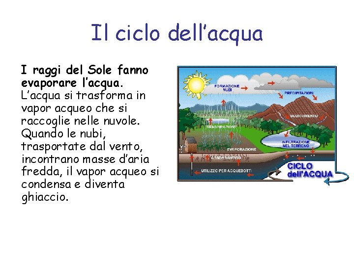 Il ciclo dell’acqua I raggi del Sole fanno evaporare l’acqua. L’acqua si trasforma in