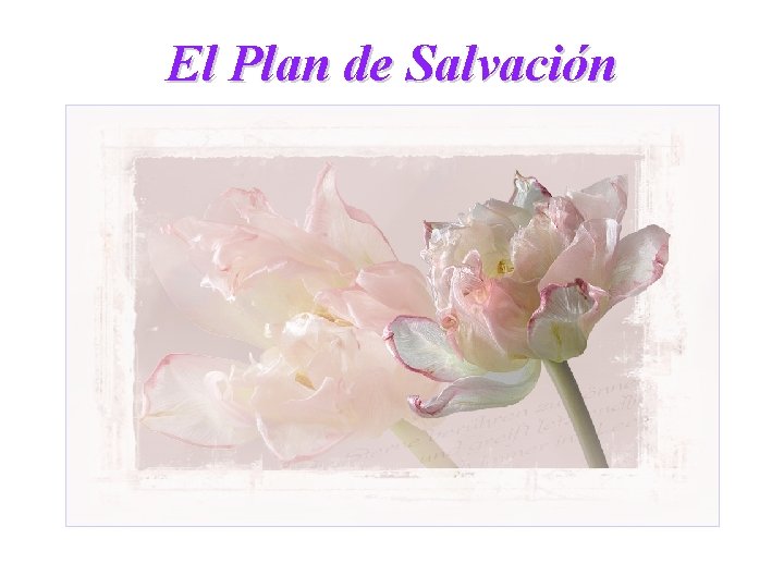 El Plan de Salvación El Plan de Salvación