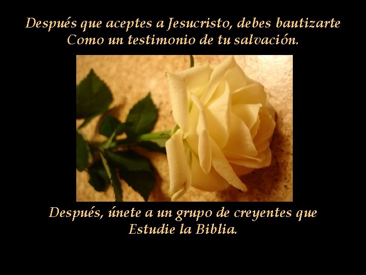 Después que aceptes a Jesucristo, debes bautizarte Como un testimonio de tu salvación. Después, Después que aceptes a Jesucristo, debes bautizarte Como un testimonio de tu salvación. Después,