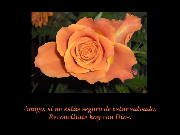 Amigo, si no estás seguro de estar salvado, Reconcíliate hoy con Dios. Amigo, si no estás seguro de estar salvado, Reconcíliate hoy con Dios.