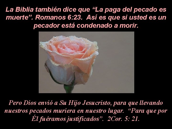 La Biblia también dice que “La paga del pecado es muerte”. Romanos 6: 23. La Biblia también dice que “La paga del pecado es muerte”. Romanos 6: 23.