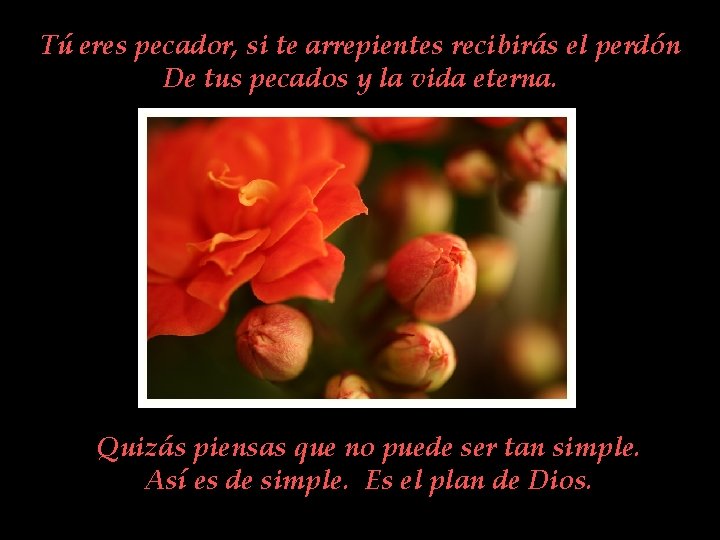 Tú eres pecador, si te arrepientes recibirás el perdón De tus pecados y la Tú eres pecador, si te arrepientes recibirás el perdón De tus pecados y la