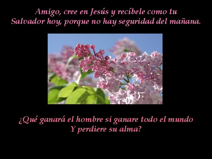 Amigo, cree en Jesús y recíbele como tu Salvador hoy, porque no hay seguridad Amigo, cree en Jesús y recíbele como tu Salvador hoy, porque no hay seguridad