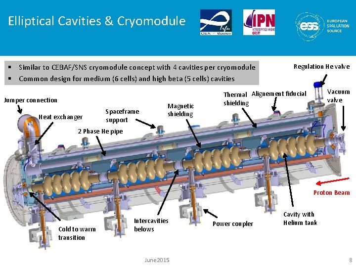 Elliptical Cavities & Cryomodule § Similar to CEBAF/SNS cryomodule concept with 4 cavities per Elliptical Cavities & Cryomodule § Similar to CEBAF/SNS cryomodule concept with 4 cavities per