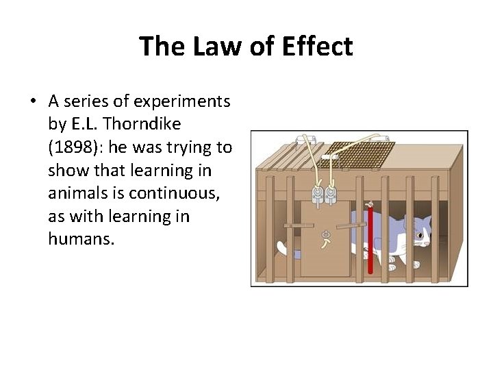 The Law of Effect • A series of experiments by E. L. Thorndike (1898):