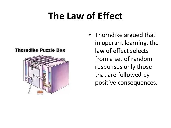 The Law of Effect • Thorndike argued that in operant learning, the law of