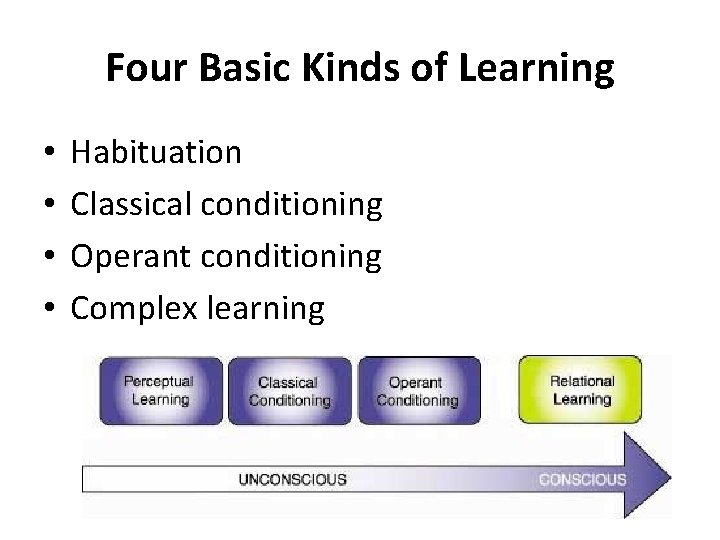 Four Basic Kinds of Learning • • Habituation Classical conditioning Operant conditioning Complex learning