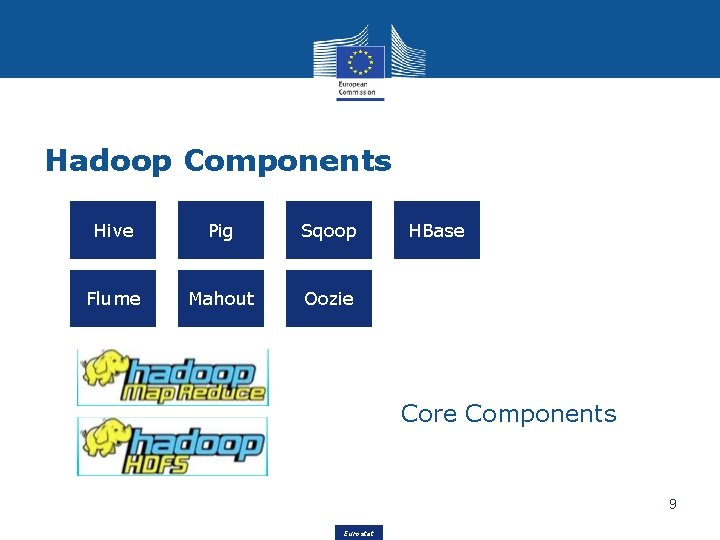Hadoop Components Hive Pig Sqoop Flume Mahout Oozie HBase Core Components 9 Eurostat 