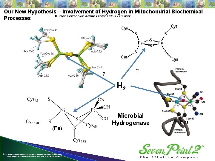 Our New Hypothesis – Involvement of Hydrogen in Mitochondrial Biochemical Human Ferredoxin Active center
