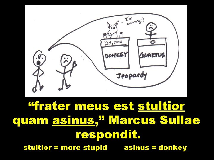 “frater meus est stultior quam asinus, ” Marcus Sullae respondit. stultior = more stupid