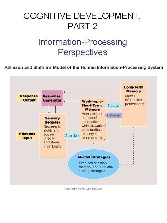 COGNITIVE DEVELOPMENT PART 2 InformationProcessing Perspectives ...