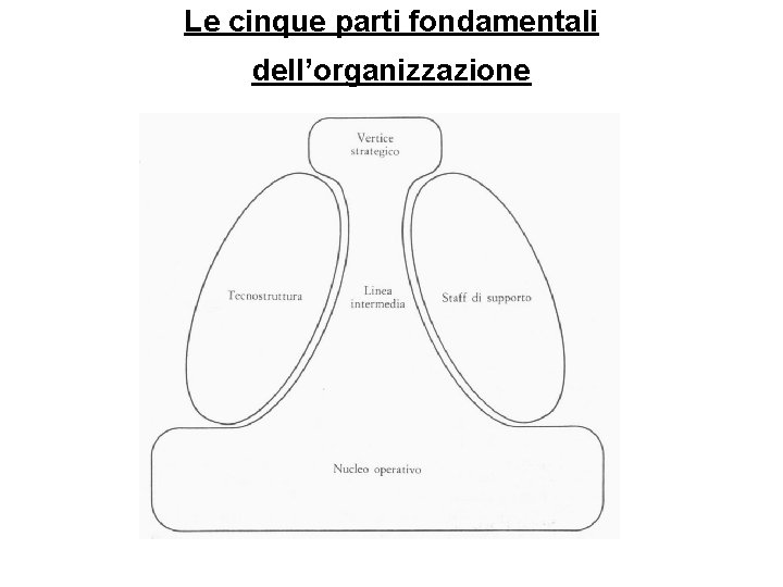 Le cinque parti fondamentali dell’organizzazione 