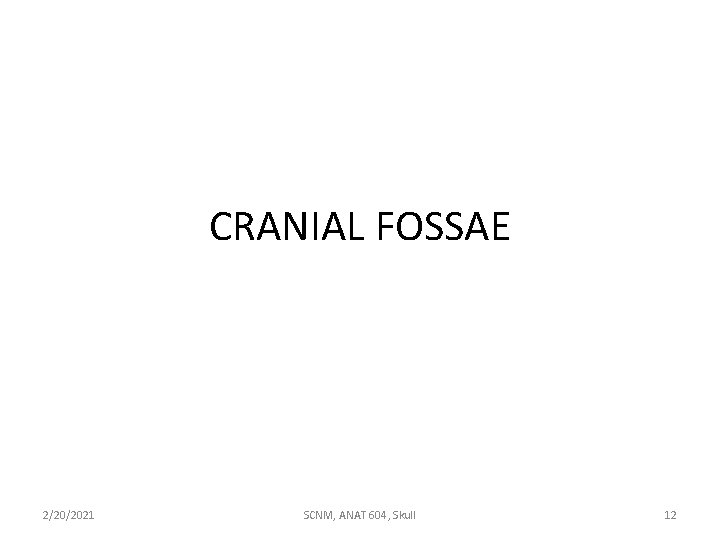 CRANIAL FOSSAE 2/20/2021 SCNM, ANAT 604, Skull 12 