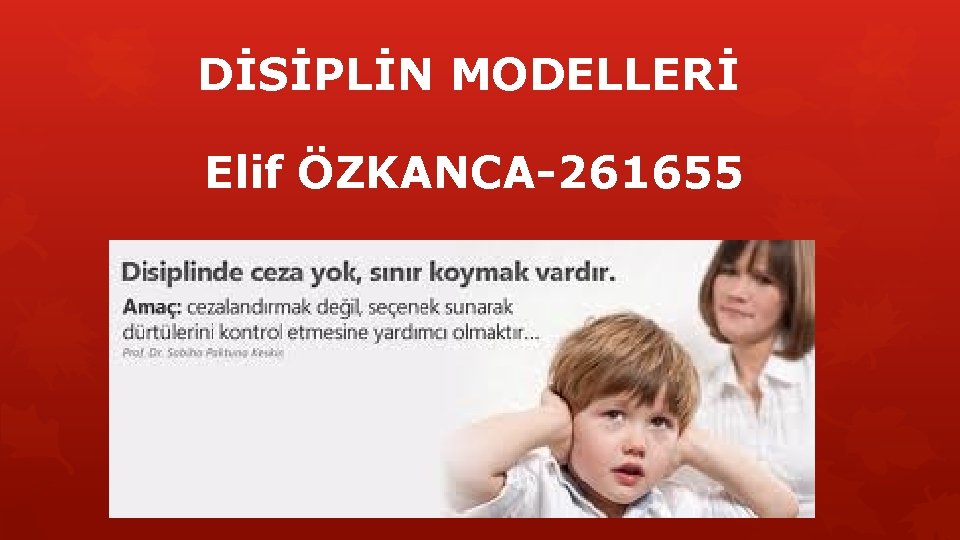 DİSİPLİN MODELLERİ Elif ÖZKANCA-261655 