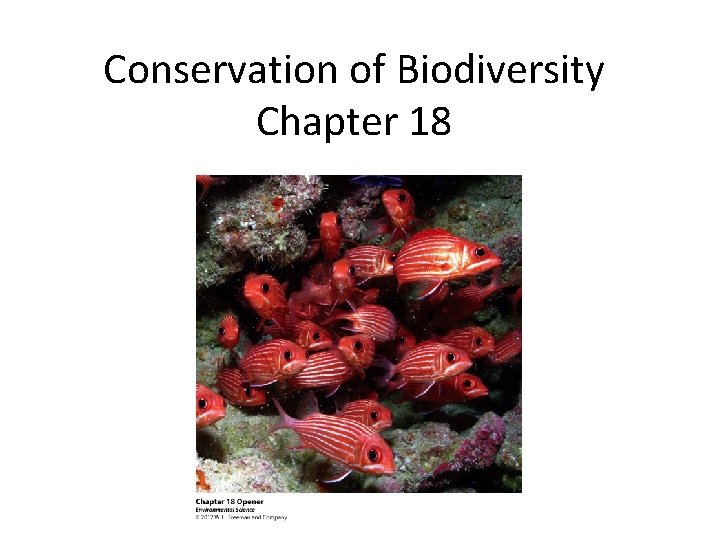 Conservation of Biodiversity Chapter 18 