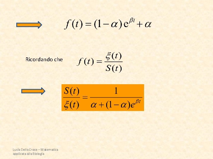 Ricordando che Lucia Della Croce – Matematica applicata alla Biologia 