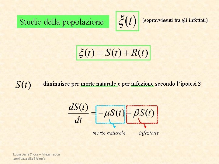 Studio della popolazione (sopravvissuti tra gli infettati) diminuisce per morte naturale e per infezione