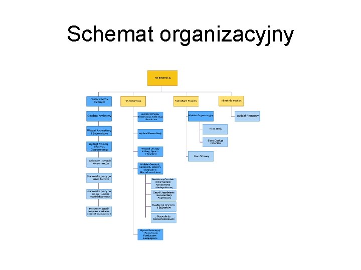 Schemat organizacyjny 