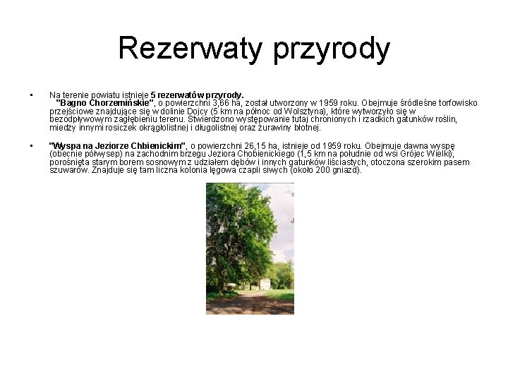 Rezerwaty przyrody • Na terenie powiatu istnieje 5 rezerwatów przyrody. "Bagno Chorzemińskie", o powierzchni