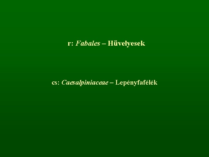 r: Fabales – Hüvelyesek cs: Caesalpiniaceae – Lepényfafélék 
