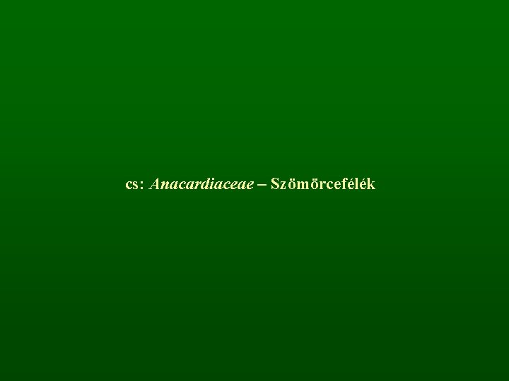cs: Anacardiaceae – Szömörcefélék 