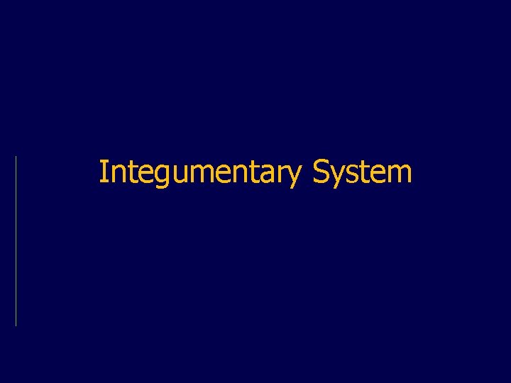 Integumentary System 