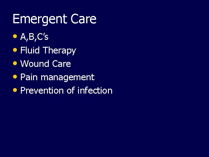 Emergent Care • A, B, C’s • Fluid Therapy • Wound Care • Pain