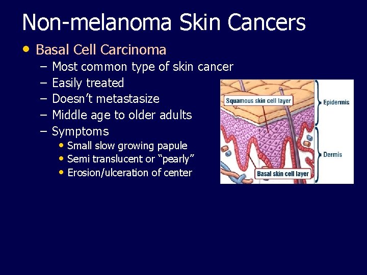 Non-melanoma Skin Cancers • Basal Cell Carcinoma – – – Most common type of